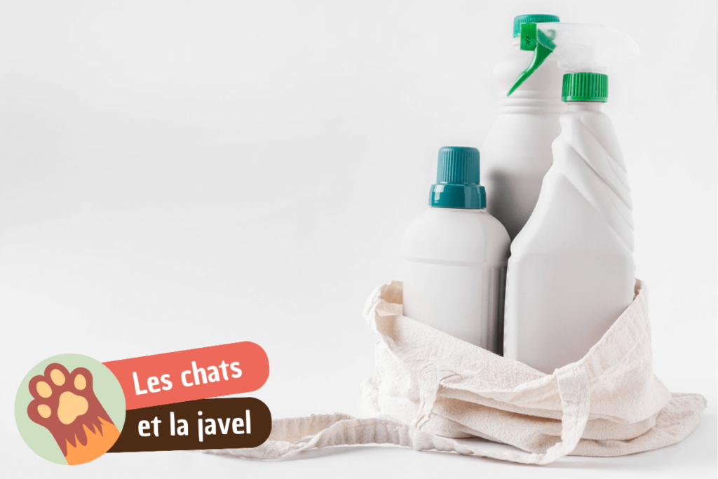 Pourquoi les chats aiment la javel