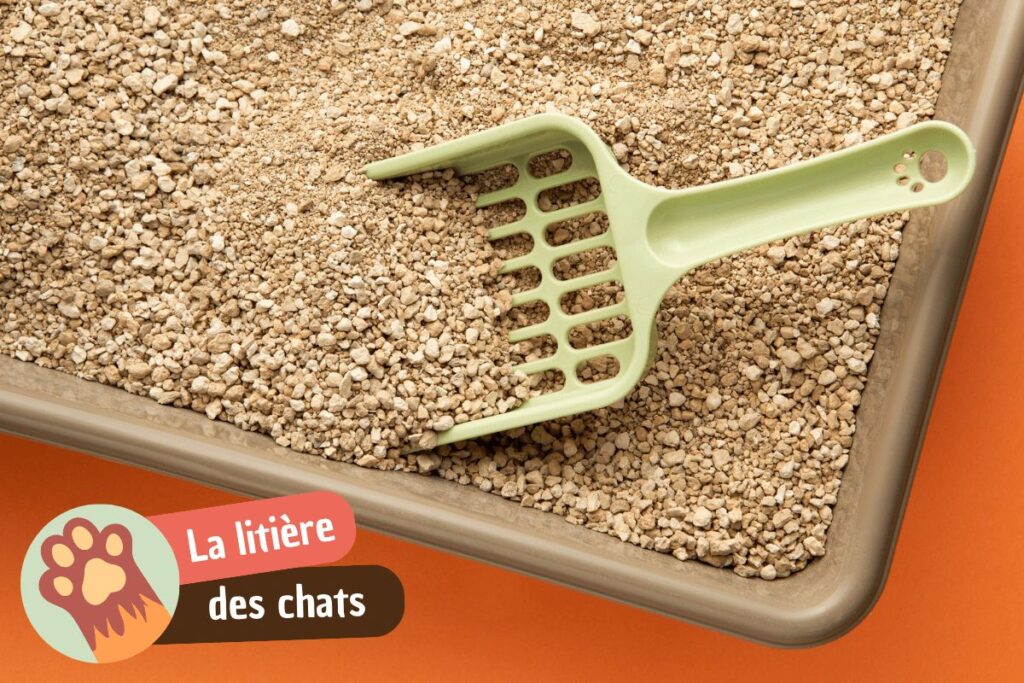 Changer la litière de votre chat