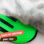10 Meilleurs gants de toilettage pour chats
