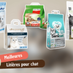 Meilleure litière pour chat : comparatif et guide d&rsquo;achat