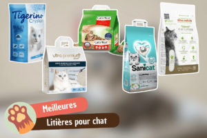 Lire la suite à propos de l’article Meilleure litière pour chat : comparatif et guide d&rsquo;achat
