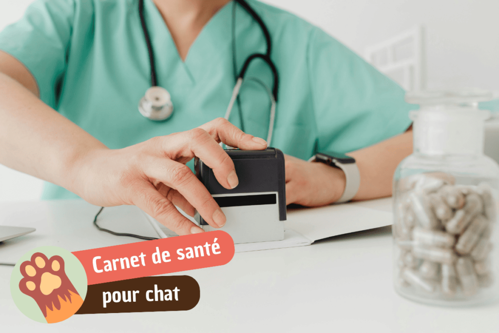 carnet de santé pour chat
