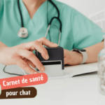 Carnet de santé chat : tout ce que vous devez savoir