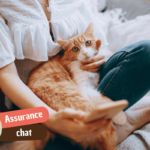Assurance chat prix : combien ça coûte vraiment en 2026 ?