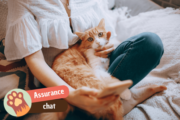 assurance pour chat
