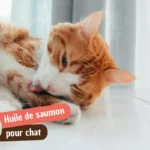Huile de saumon pour chat : bienfaits, dosage et conseils pour bien l&rsquo;utiliser
