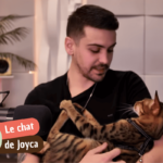 Nevada, le chat de Joyca : tout savoir sur son Savannah F7