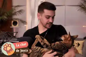 Lire la suite à propos de l’article Nevada, le chat de Joyca : tout savoir sur la race Savannah F7