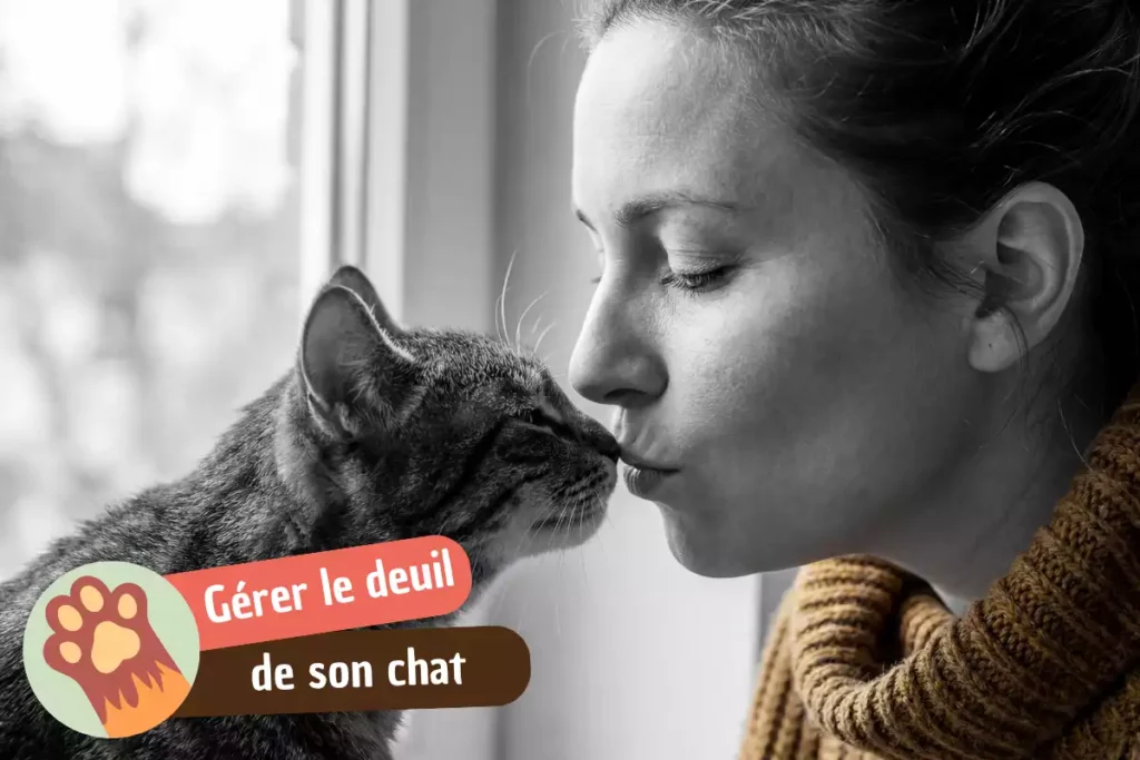 faire face au deuil de son chat
