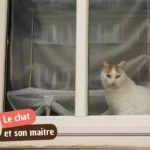 En combien de temps un chat oublie-t-il son maître ?