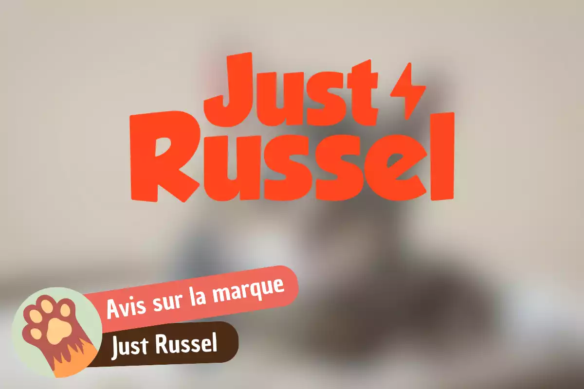 You are currently viewing Just Russel avis : des croquettes sur mesure pour chat, mais jusqu’où va le « personnalisé » ?